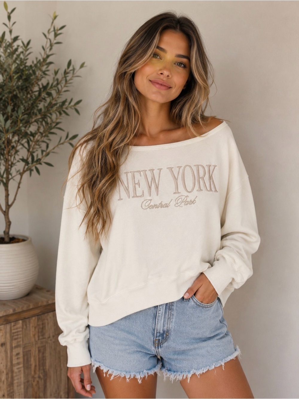 Hollister Cream 'New York Central Park' Embroidered Sweatshirt
